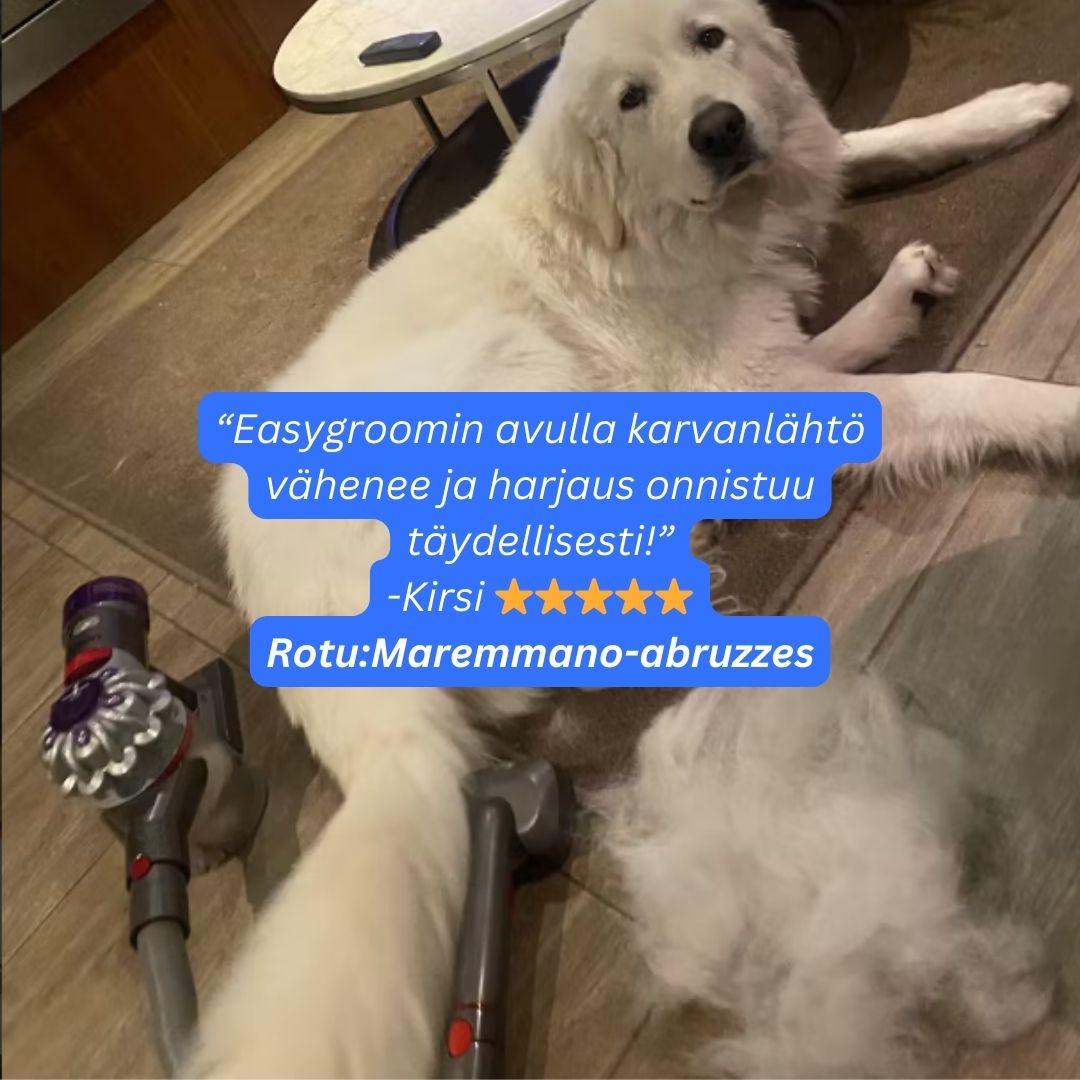 EasyGroom™ - 4 in 1 Imuriin sopiva Irtokarva- Ja Pohjavillaharjasetti, Sotkutonta Lemmikin Harjausta.