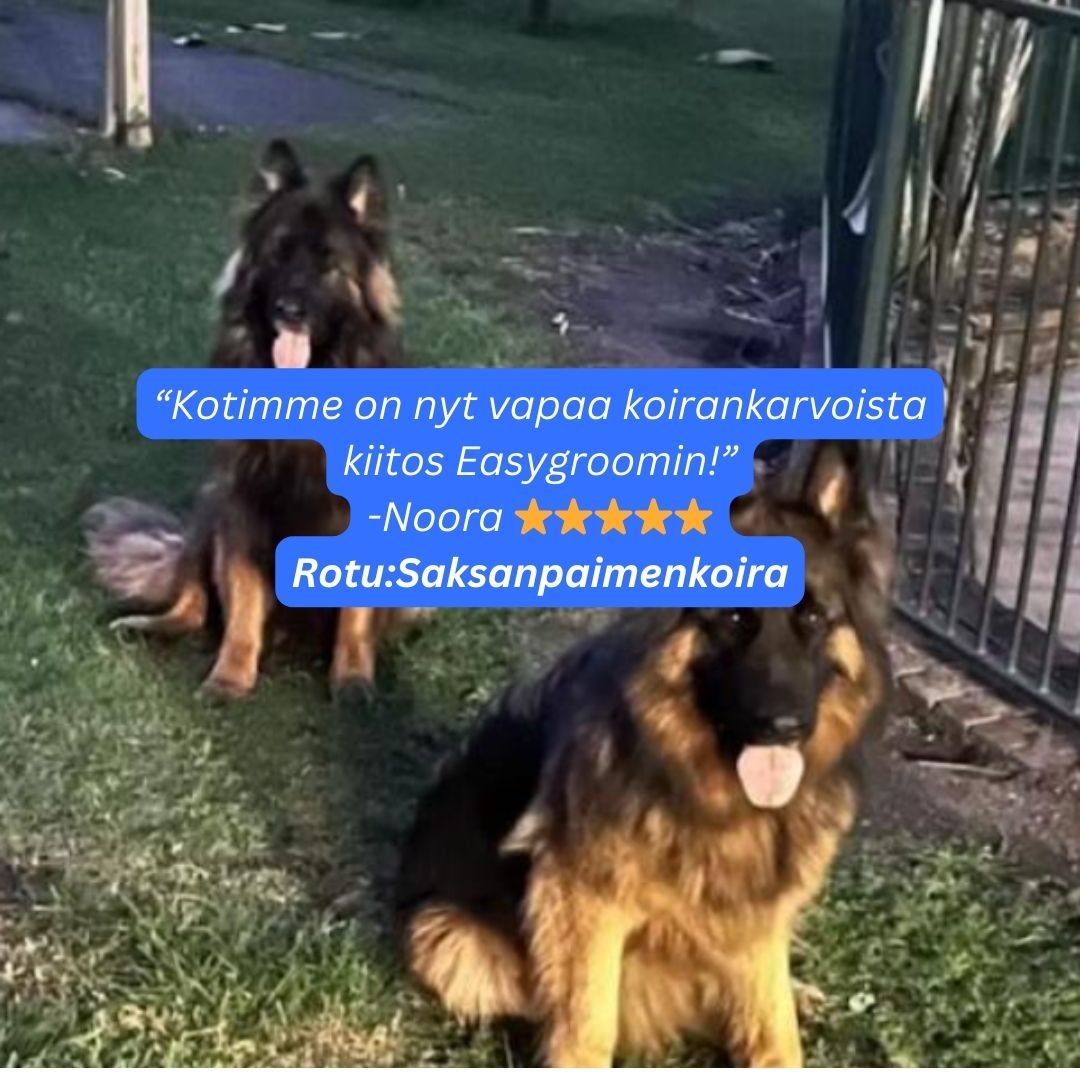 EasyGroom™ - 4 in 1 Imuriin sopiva Irtokarva- Ja Pohjavillaharjasetti, Sotkutonta Lemmikin Harjausta.