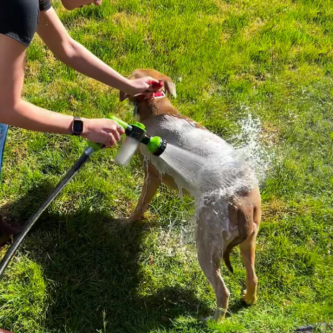 Bath soap - Make washing your dog easier