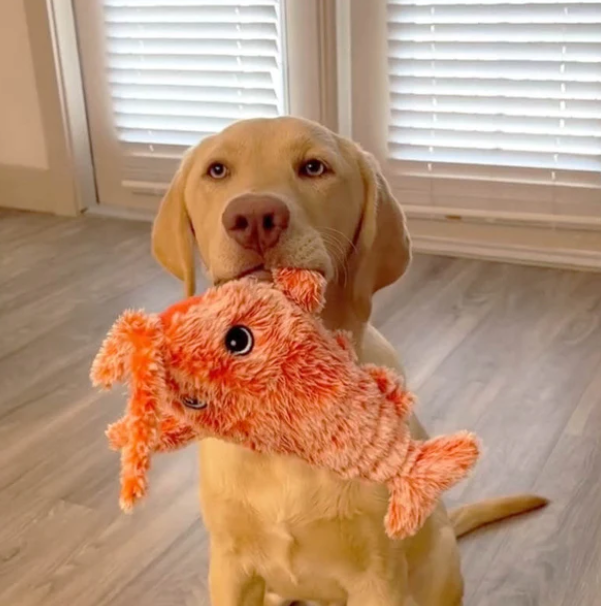 Lobster - A moving toy for dogs and cats