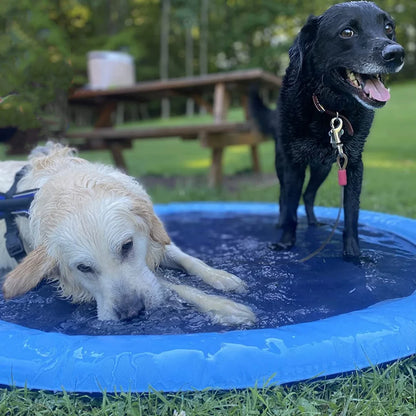 SplashZone - Minska din hunds risk för värmeslag och stress.